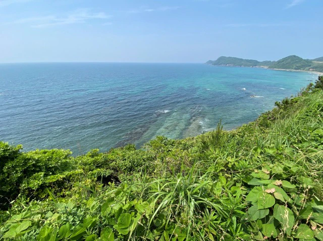 焼き鳥・ラーメン「花山」で使用する塩は玄界灘から汲み上げた海水を濾した自家製